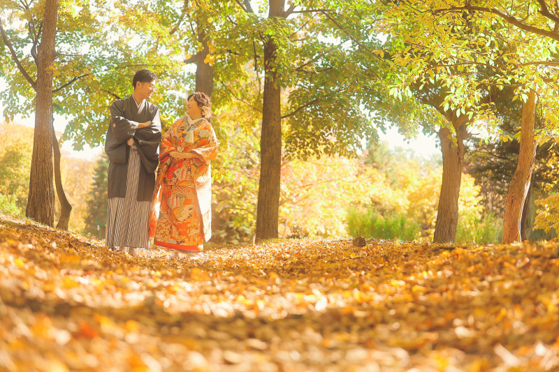 落ち葉の絨毯を