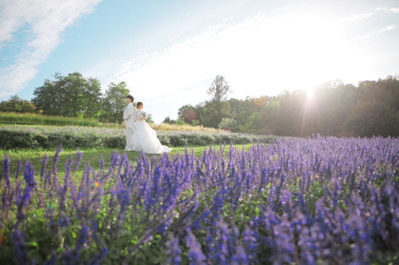 青空とサルビアの広大なショットも!
