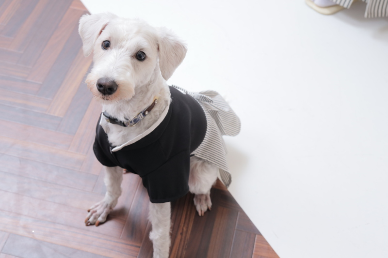 2着目から登場!!