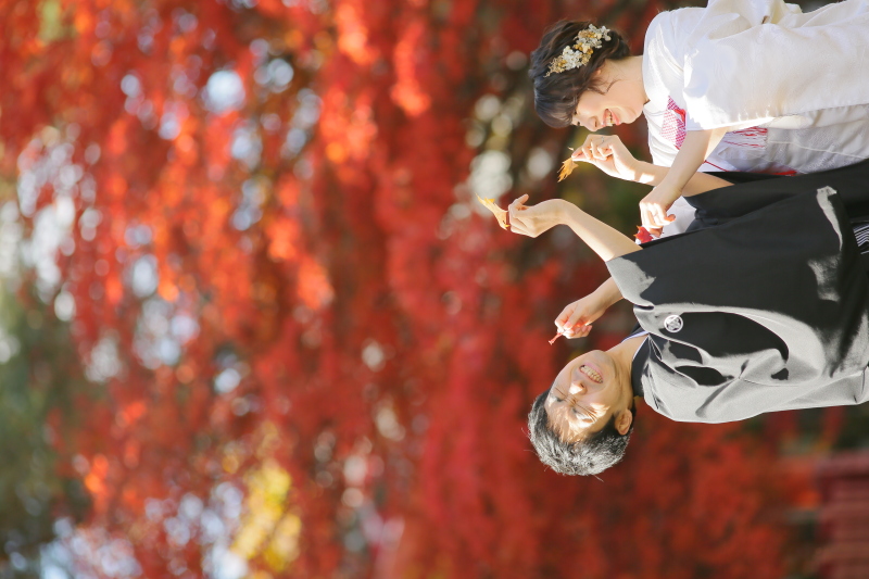 紅葉で攻撃しあいっこ