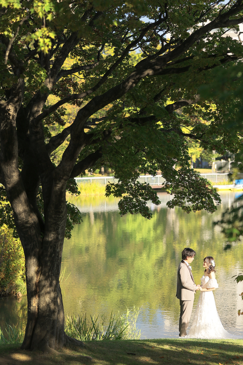 池と木を使って