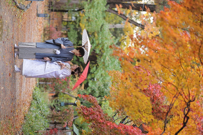 紅葉ロケ