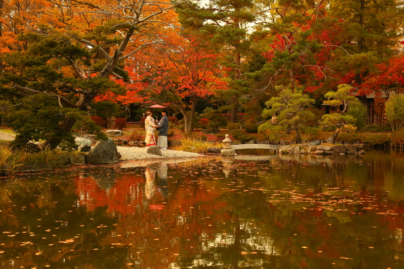 日本庭園の池と一緒に