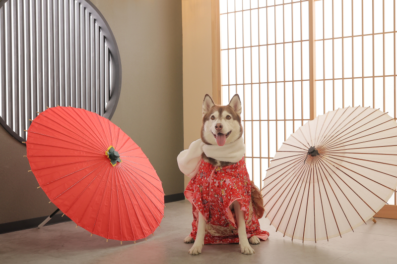 ソロカットも撮れちゃいます♪