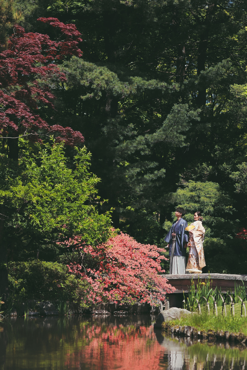 引きのお写真も