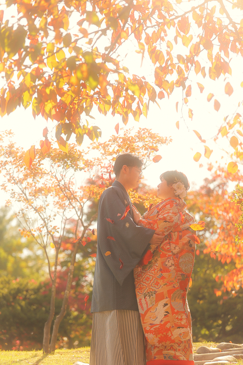 木の葉がハラハラと