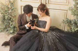 ねこちゃんとスタジオフォト⚘