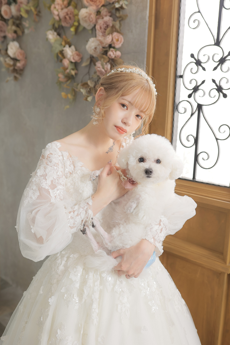 わんちゃんと一緒に