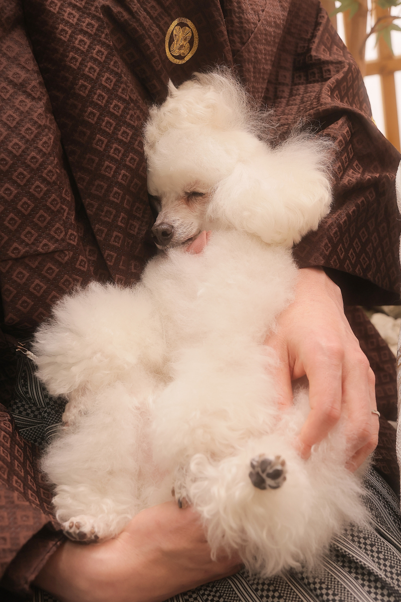 旦那様の上でスヤスヤ♡