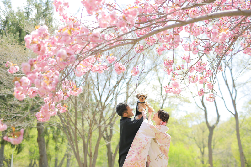 大人気の桜ロケ❀