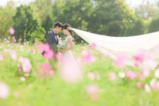 秋はすぐそこまで⚘