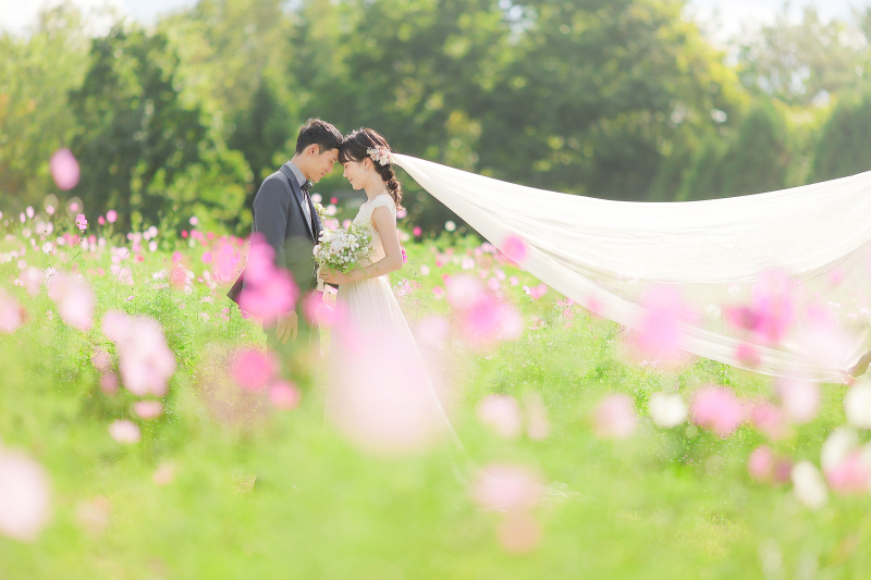 秋はすぐそこまで⚘