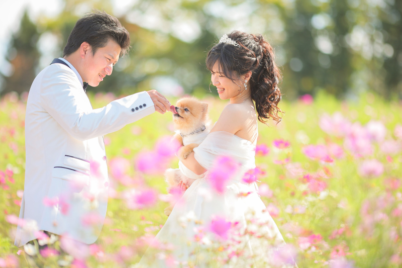 モエレ沼公園&永山邸