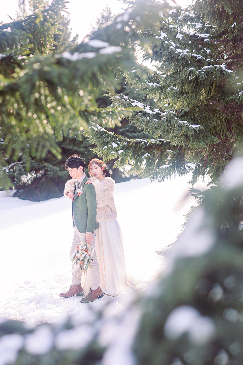 針葉樹とおしゃれカット