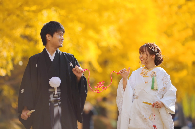 鮮やかな黄色のイチョウをバックに