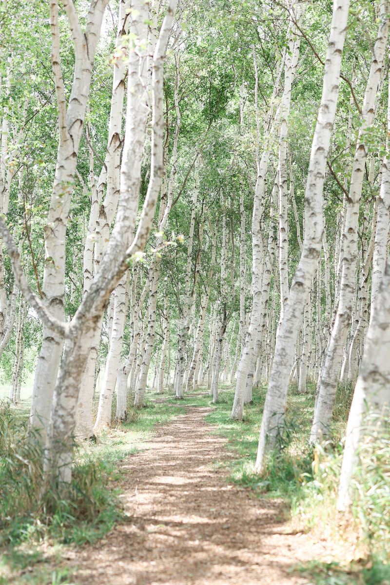 八月のモエレ沼公園