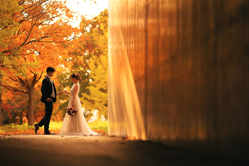 ドラマチックな1枚