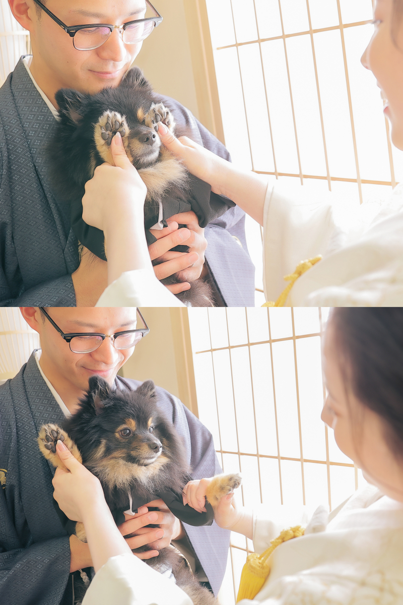 いないいな~い・・・ばぁあっ!!