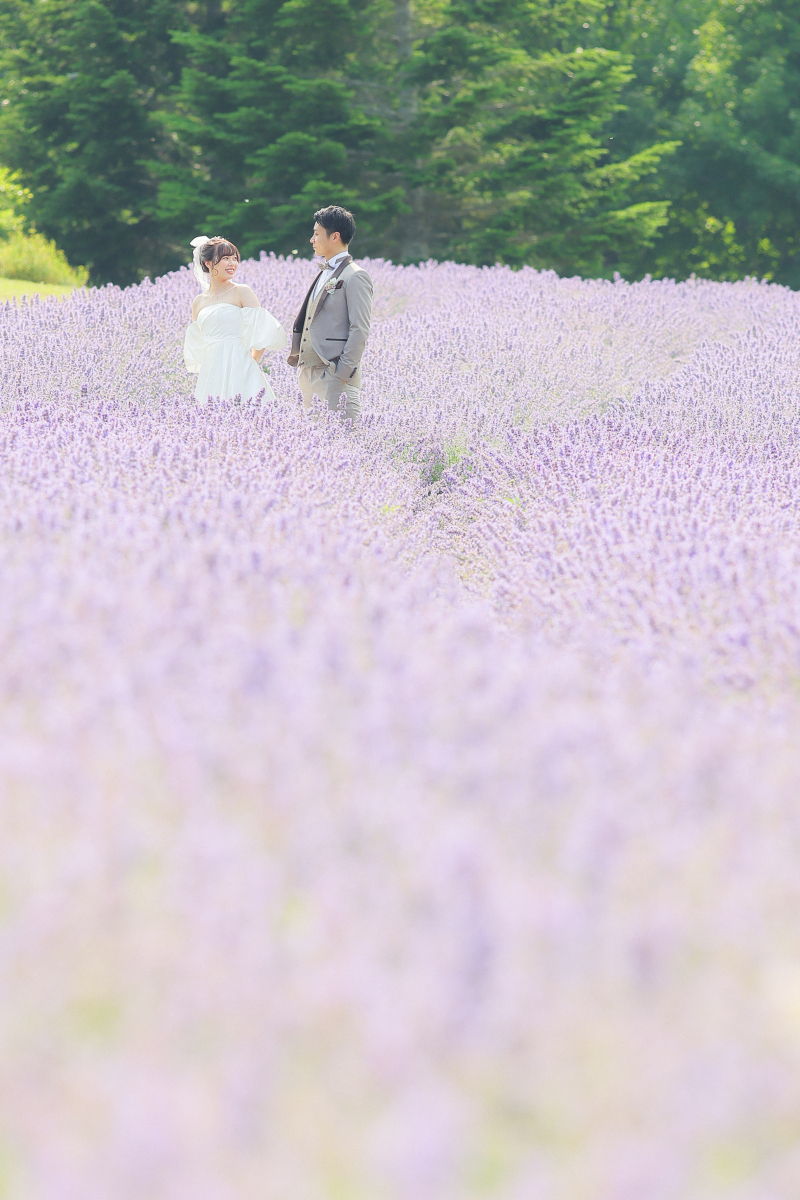 お花畑の中で、