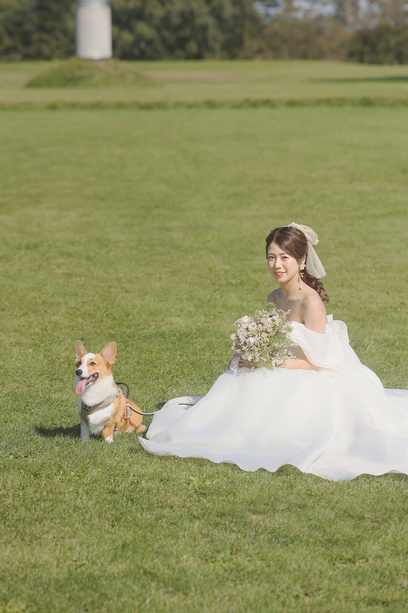 わんちゃんと・・・