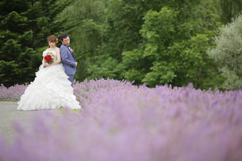 キリッとした雰囲気で