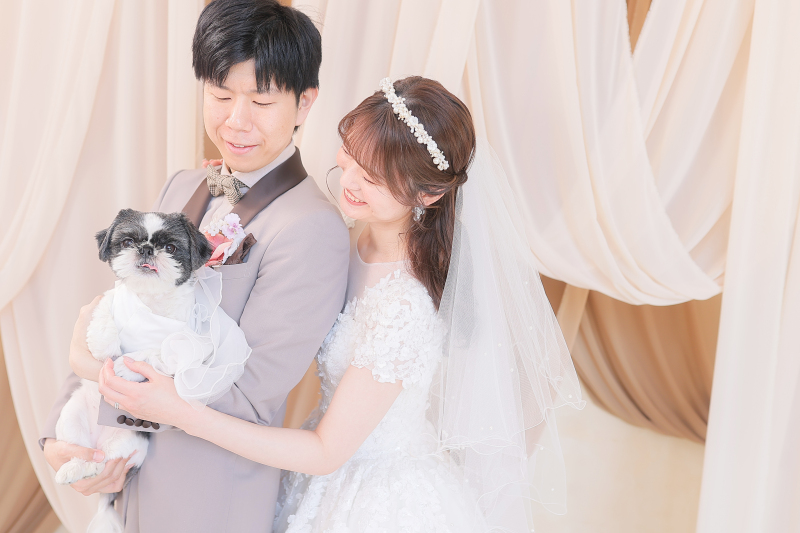 とってもおとなしくていい子でした