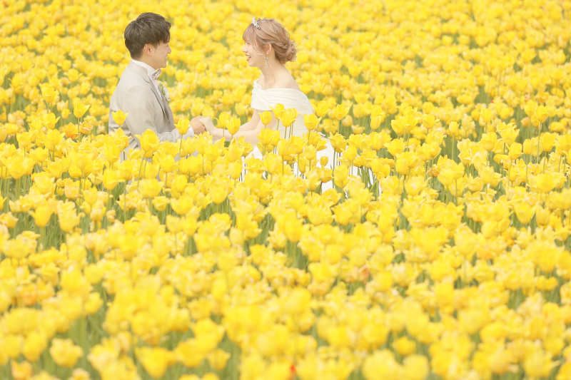 花言葉は『思いやり』