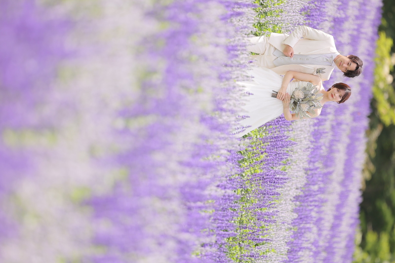 色鮮やかなお花畑で❁