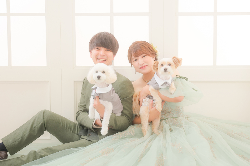 わんちゃん登場!