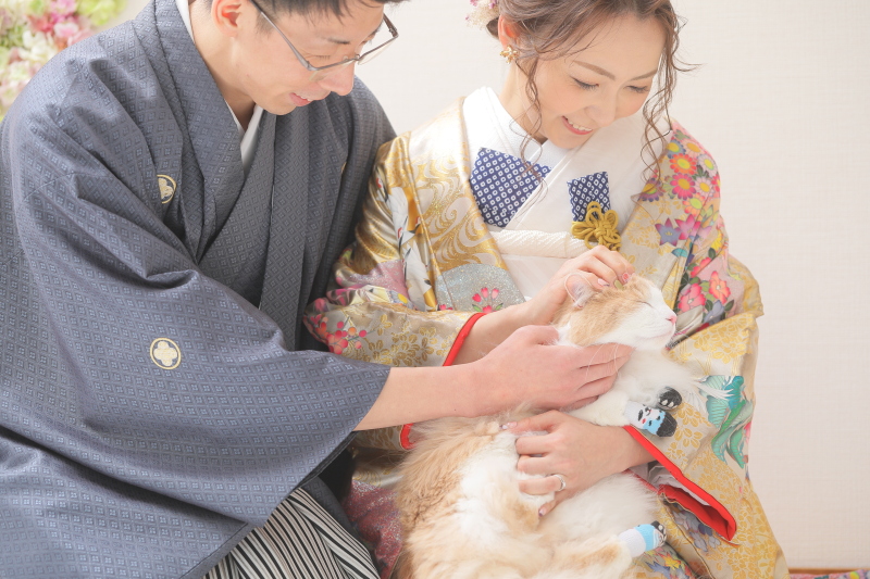 可愛いネコさん♡