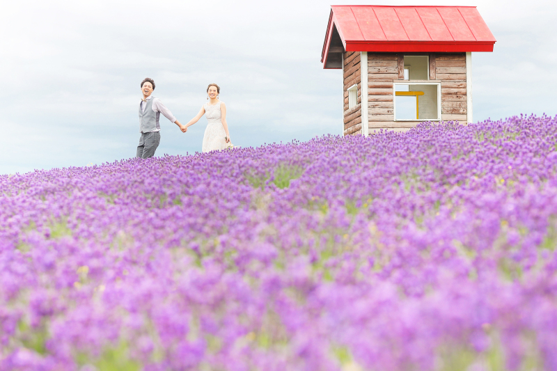 ラベンダーに囲まれて・・