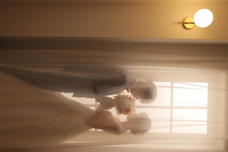 シルエット写真