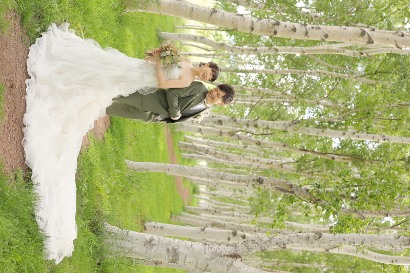 白樺の森の中で・・