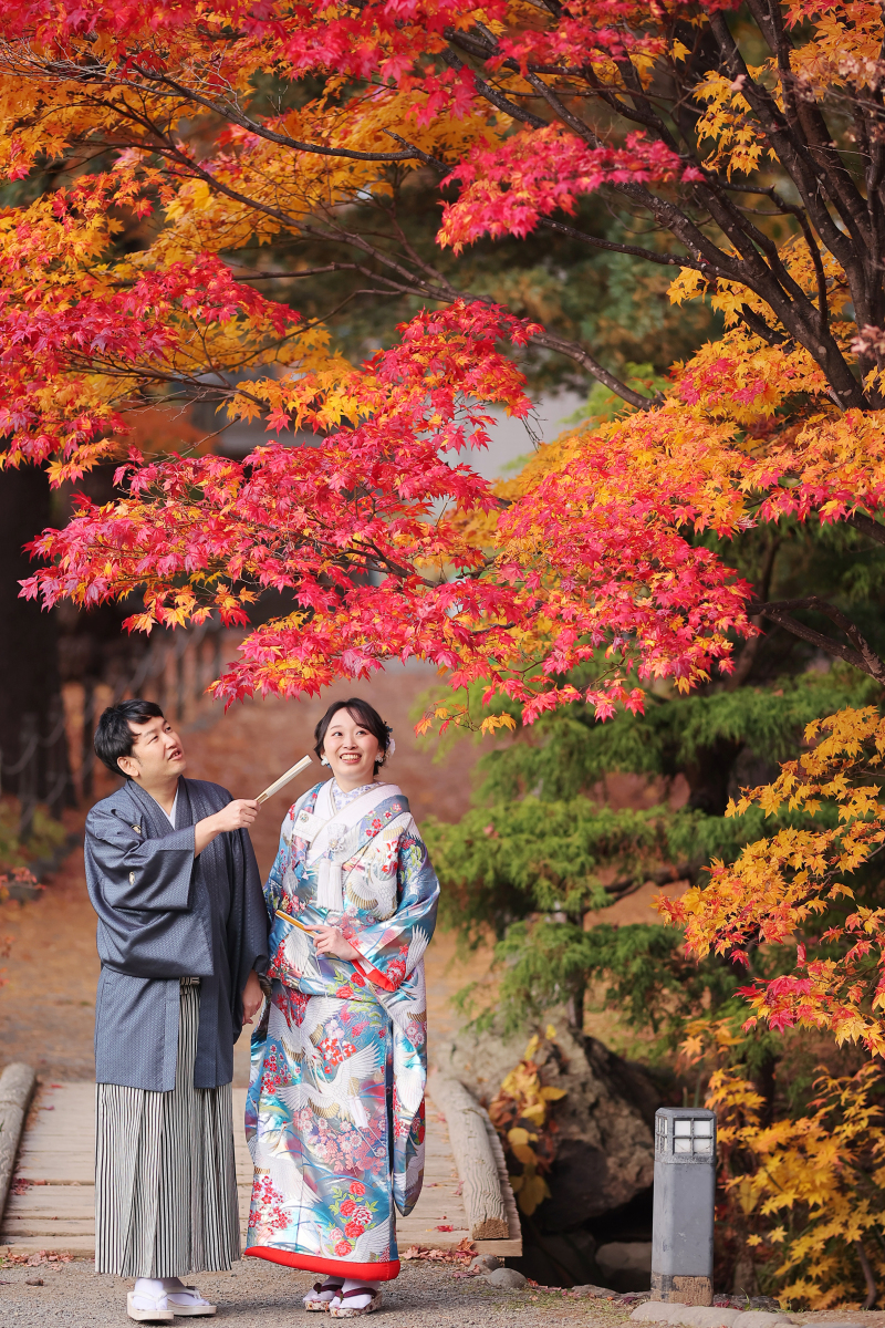 お散歩シリーズ