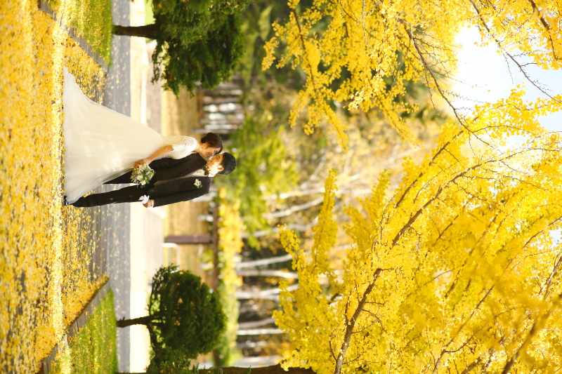 鮮やかな道の下で