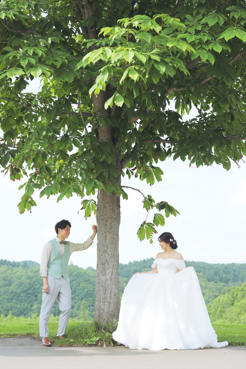 大きな木の下で