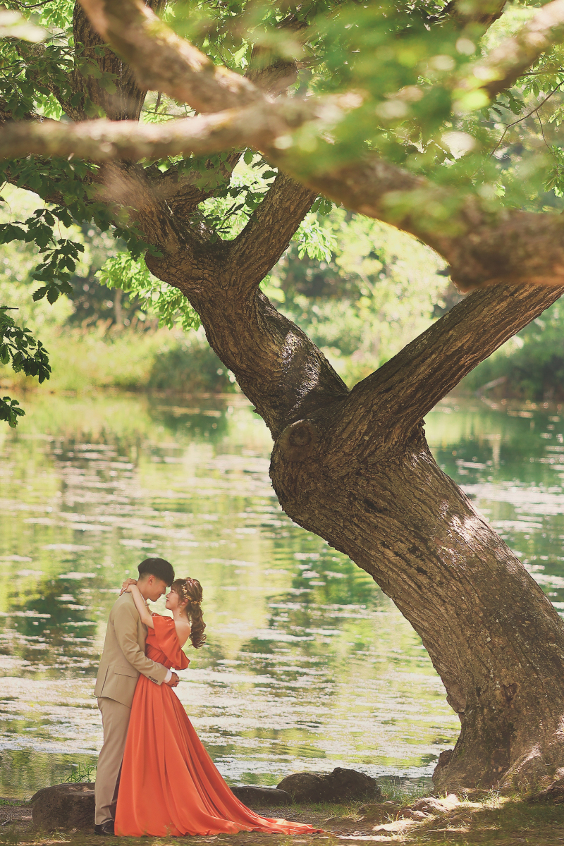 大きな木の下で・・・