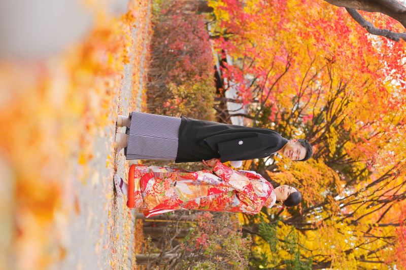 木々も足元も鮮やか