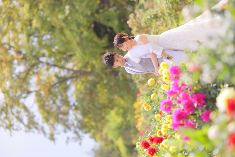 ダリアとともに