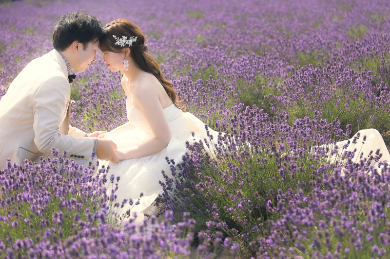 ラベンダーに包まれて