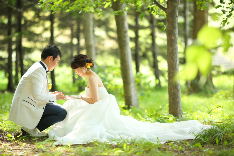 伏見稲荷神社＆モエレ沼公園