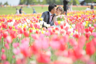 滝野すずらん公園 伏見稲荷神社