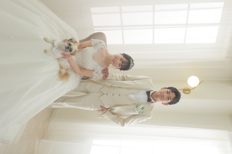 可愛いワンちゃんと