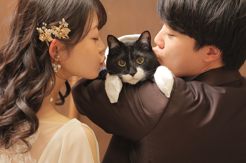 かわいい猫ちゃんと