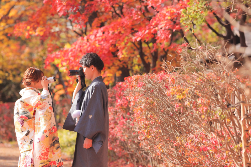 カメラを使って