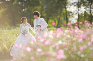 伏見稲荷神社・滝野すずらん丘陵公園