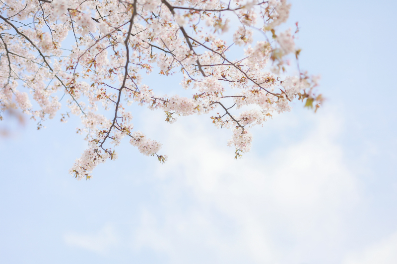 ロケーション日和☀