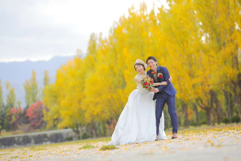 ポプラの鮮やかな黄色が映える！