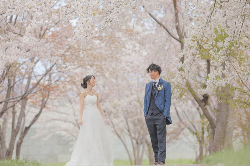 桜のトンネル✿