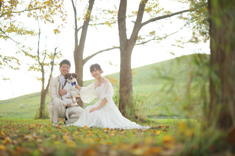 落ち葉の色合いが秋らしくて可愛い